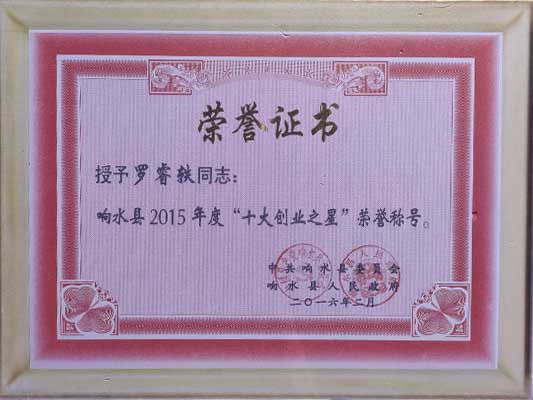  創(chuàng)業(yè)之星 